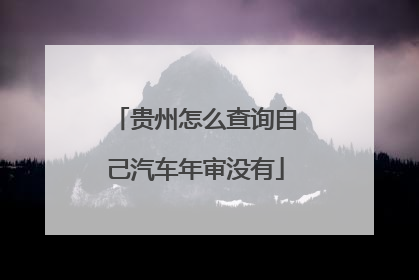 贵州怎么查询自己汽车年审没有