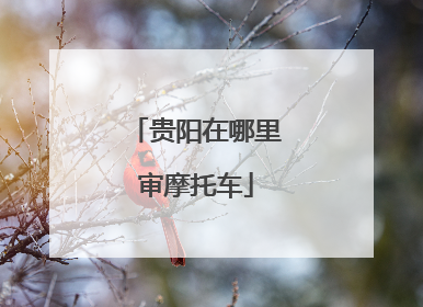 贵阳在哪里审摩托车