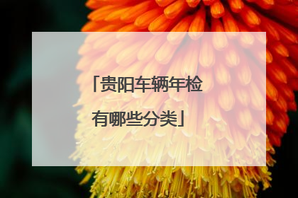 贵阳车辆年检有哪些分类