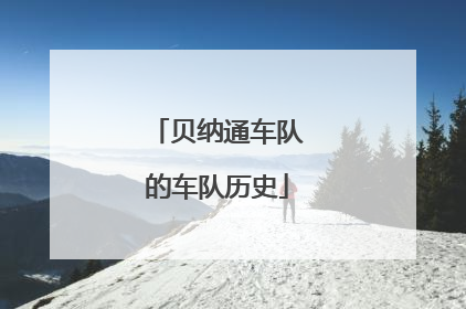 贝纳通车队的车队历史
