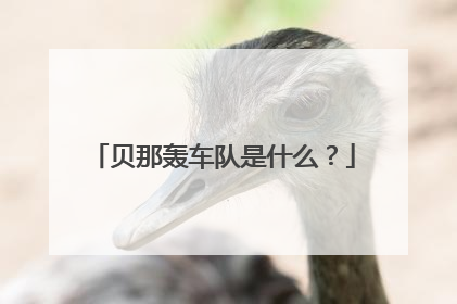 贝那轰车队是什么？