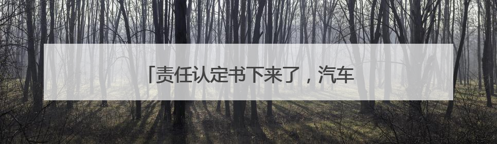 责任认定书下来了，汽车撞人不结案可以年审不