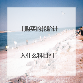 购买的轮胎计入什么科目?