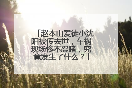 赵本山爱徒小沈阳被传去世，车祸现场惨不忍睹，究竟发生了什么？