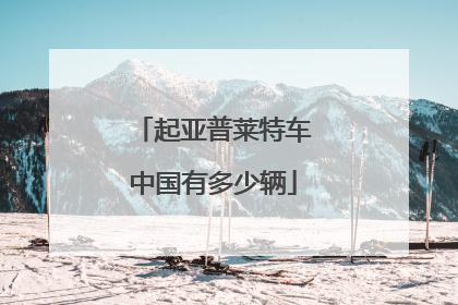 起亚普莱特车中国有多少辆