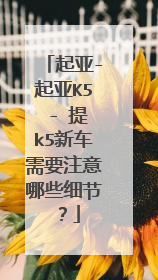起亚-起亚K5 - 提k5新车需要注意哪些细节？