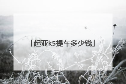 起亚k5提车多少钱