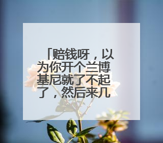 赔钱呀，以为你开个兰博基尼就了不起了，然后来几辆车把车砸了，他说我事东升阿毛，请问，这是哪个电影里