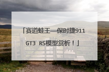 赛道蛙王——保时捷911 GT3 RS模型赏析！