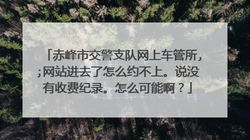 赤峰市交警支队网上车管所,;网站进去了怎么约不上。说没有收费纪录。怎么可能啊？