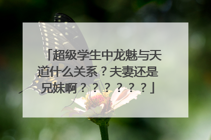 超级学生中龙魅与天道什么关系？夫妻还是兄妹啊？？？？？？