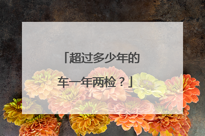 超过多少年的车一年两检？