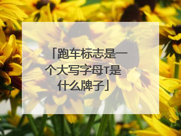 跑车标志是一个大写字母T是什么牌子