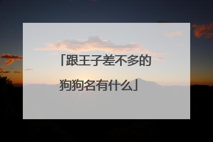 跟王子差不多的狗狗名有什么