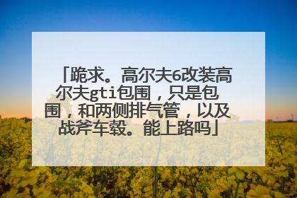 跪求。高尔夫6改装高尔夫gti包围，只是包围，和两侧排气管，以及战斧车毂。能上路吗