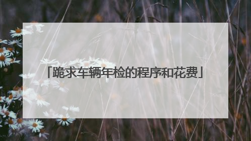 跪求车辆年检的程序和花费