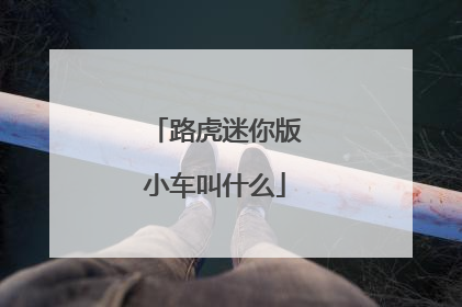 路虎迷你版小车叫什么