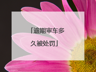 逾期审车多久被处罚