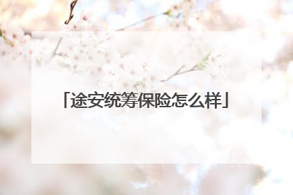 途安统筹保险怎么样