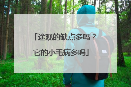 途观的缺点多吗？它的小毛病多吗