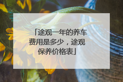 途观一年的养车费用是多少，途观保养价格表