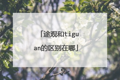 途观和tiguan的区别在哪