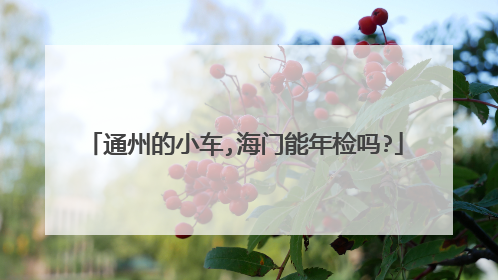 通州的小车,海门能年检吗?