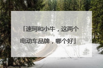 速珂和小牛，这两个电动车品牌，哪个好