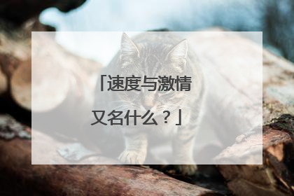 速度与激情又名什么？