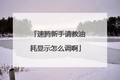速腾新手请教油耗显示怎么调啊