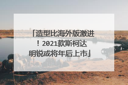 造型比海外版激进！2021款斯柯达明锐或将年后上市