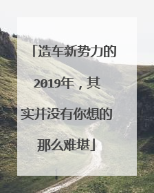 造车新势力的2019年，其实并没有你想的那么难堪