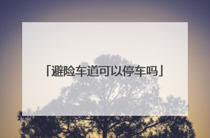 避险车道可以停车吗