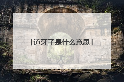 道牙子是什么意思