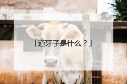 道牙子是什么？