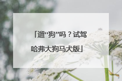 遛“狗”吗？试驾哈弗大狗马犬版