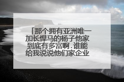 那个拥有亚洲唯一加长悍马的杨子他家到底有多富啊.谁能给我说说他们家企业的发展历程啊~!