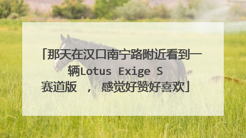 那天在汉口南宁路附近看到一辆Lotus Exige S赛道版 ， 感觉好赞好喜欢