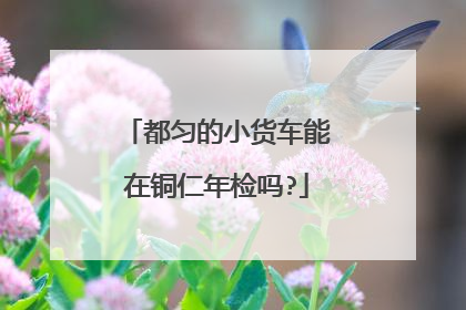都匀的小货车能在铜仁年检吗?