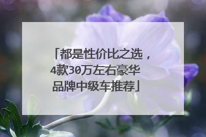 都是性价比之选，4款30万左右豪华品牌中级车推荐