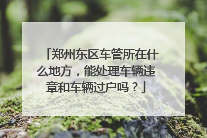郑州东区车管所在什么地方，能处理车辆违章和车辆过户吗？