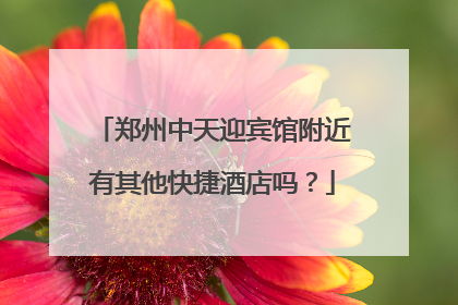 郑州中天迎宾馆附近有其他快捷酒店吗？