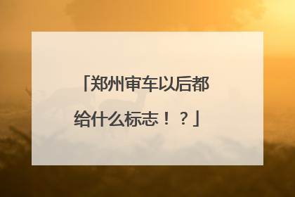 郑州审车以后都给什么标志！？