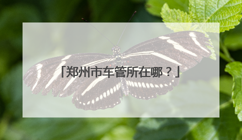 郑州市车管所在哪？
