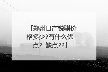 郑州日产锐骐价格多少?有什么优点? 缺点??