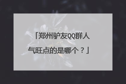 郑州驴友QQ群人气旺点的是哪个？
