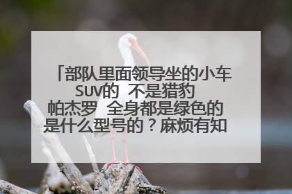 部队里面领导坐的小车 SUV的 不是猎豹 帕杰罗 全身都是绿色的是什么型号的？麻烦有知道的告诉我 谢谢