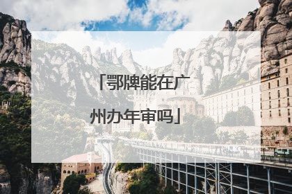 鄂牌能在广州办年审吗