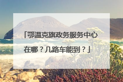 鄂温克旗政务服务中心在哪？几路车能到？