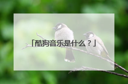 酷狗音乐是什么？